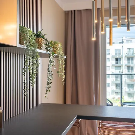 Golden Rose Apartment